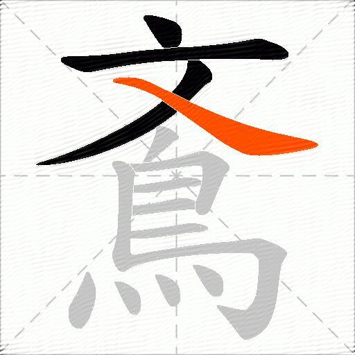 鴍