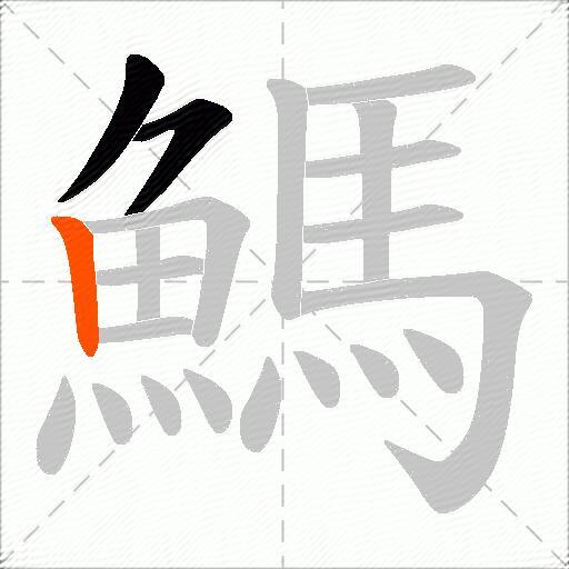 鰢