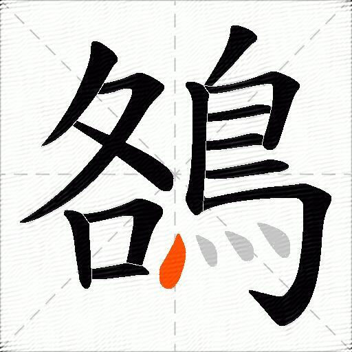 鵅