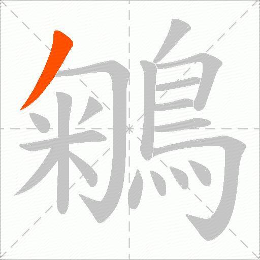 鵴