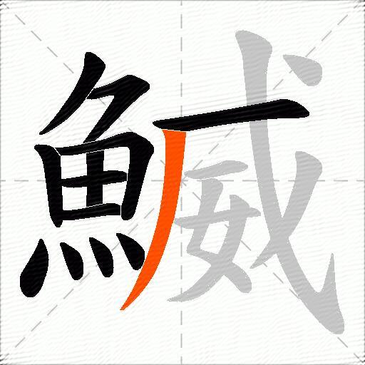 鰄