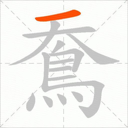 鴌