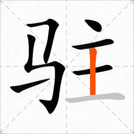 驻