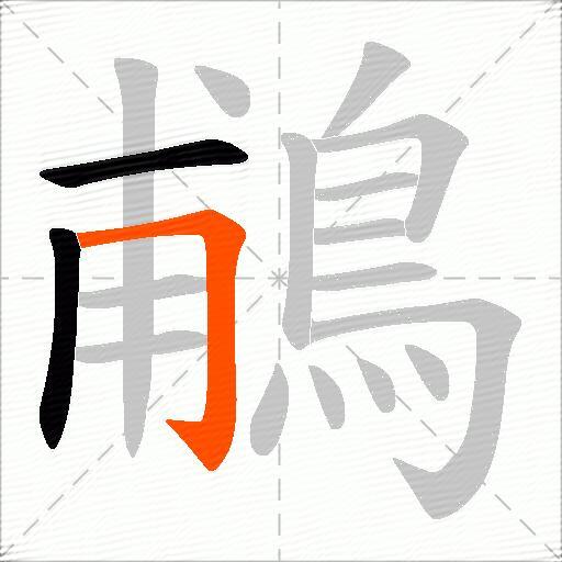 鵏