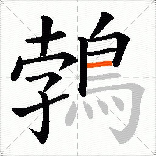 鵓