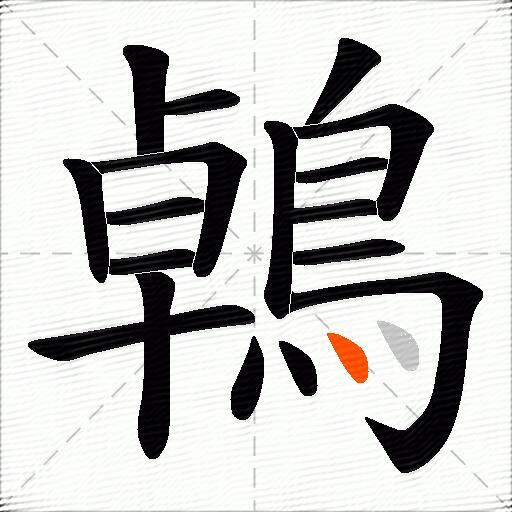 鵫