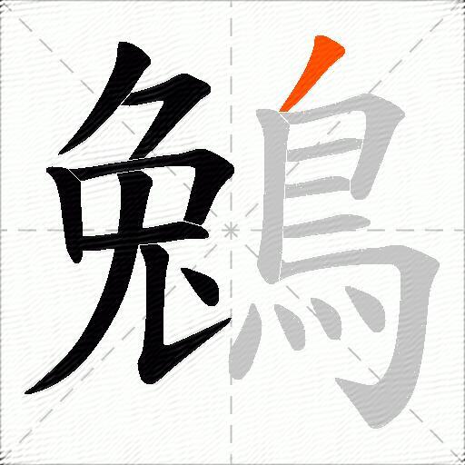 鵵