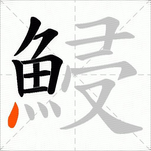 鮼