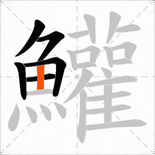 鱹