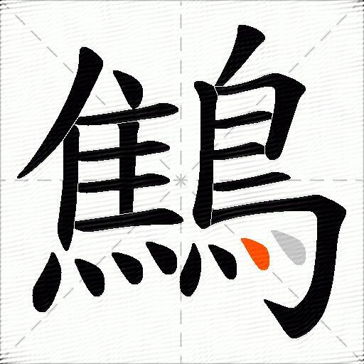 鷦