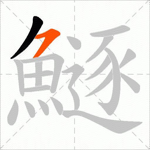 鱁