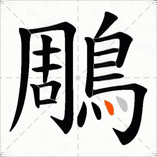 鵰