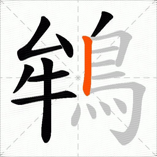 鴾