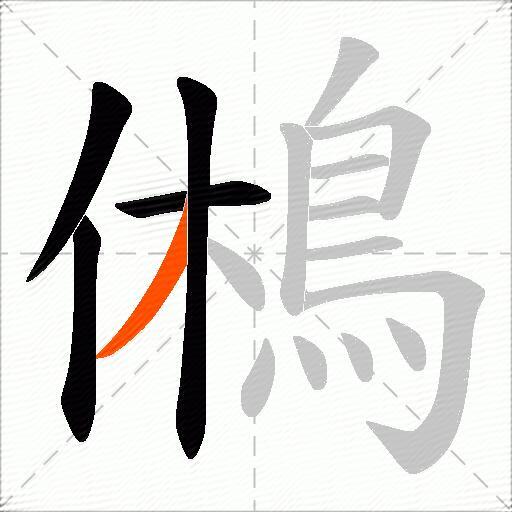 鵂