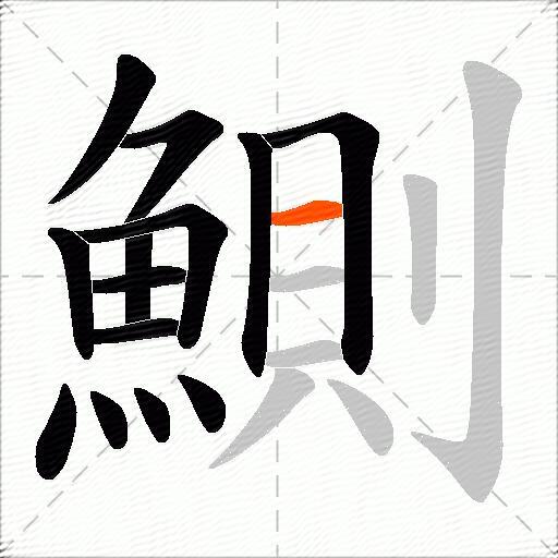 鰂