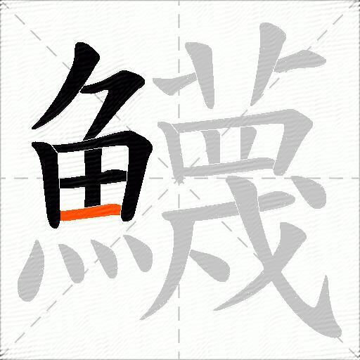 鱴