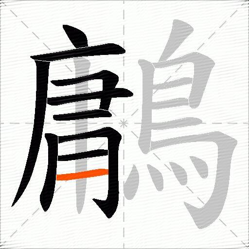 鷛