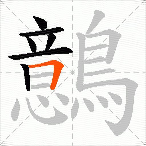 鷾