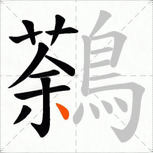 鷋