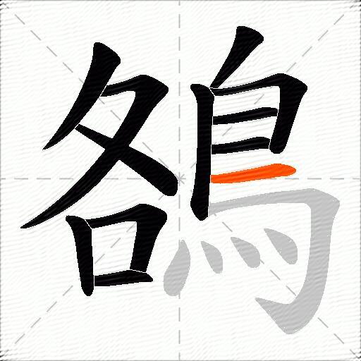 鵅
