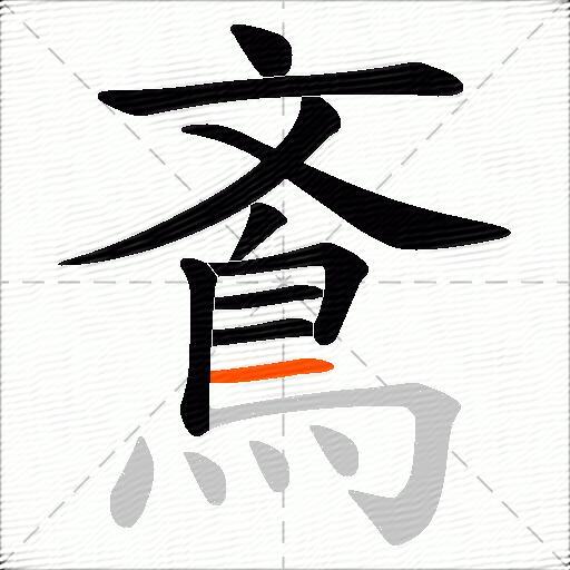 鴍