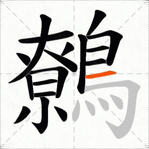 鷯