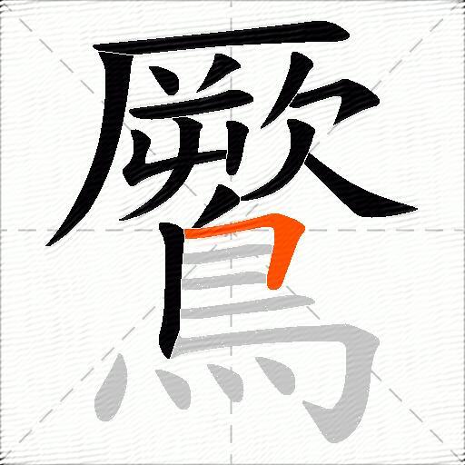 鷢
