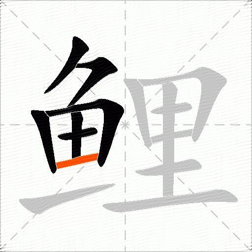 鲤