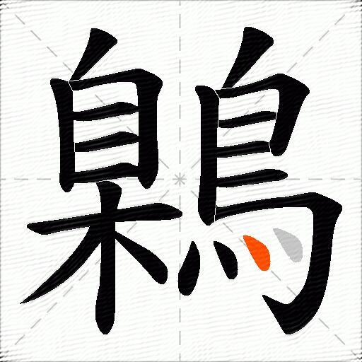 鷍