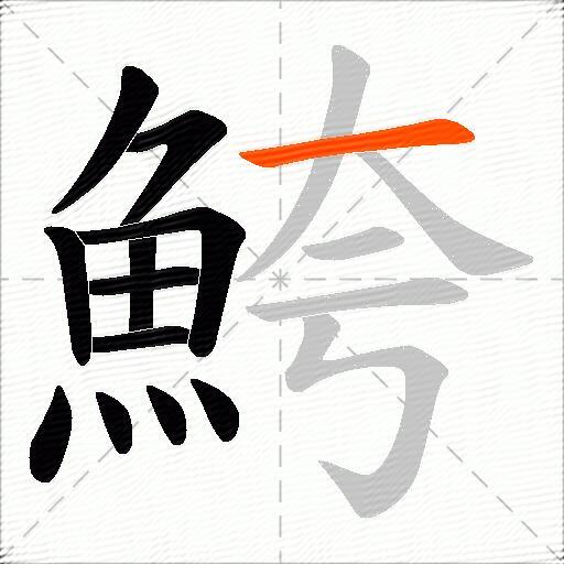 鮬