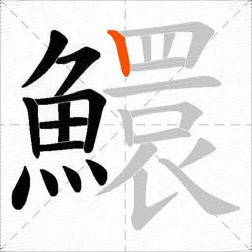 鱞
