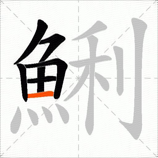鯏