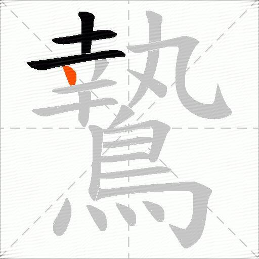 鷙