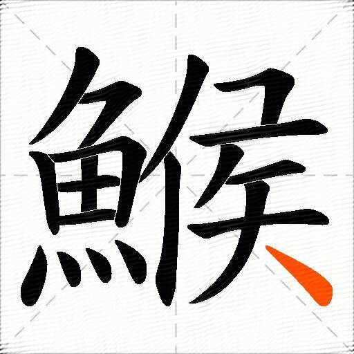鯸