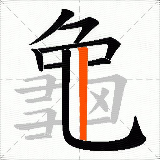 龜