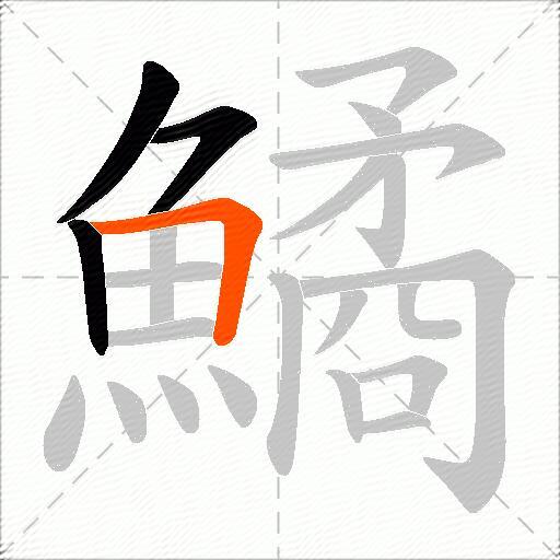 鱊