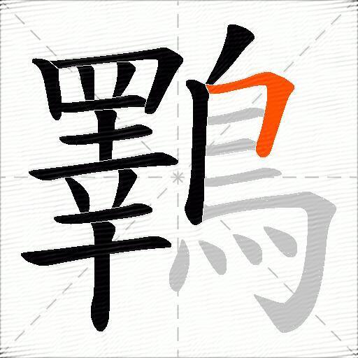 鸅