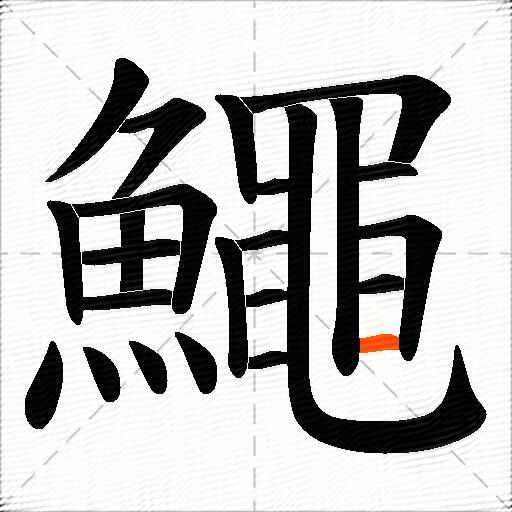 鱦