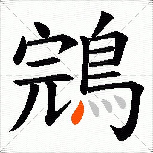 鵍