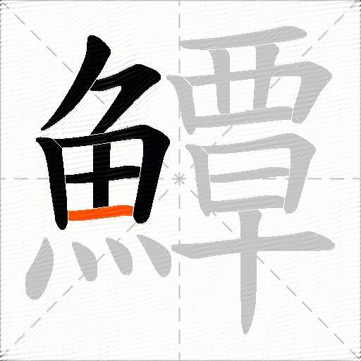 鱏