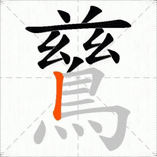 鶿
