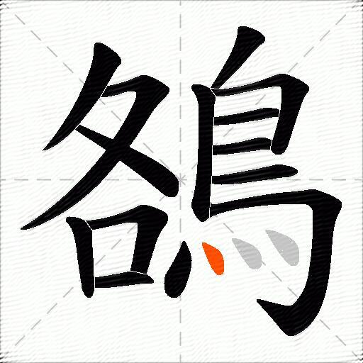 鵅