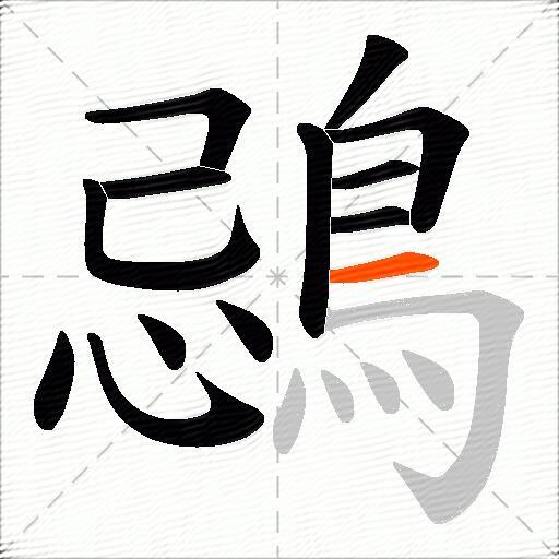 鵋
