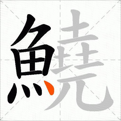 鱙