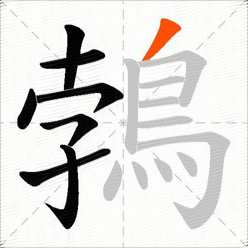 鵓