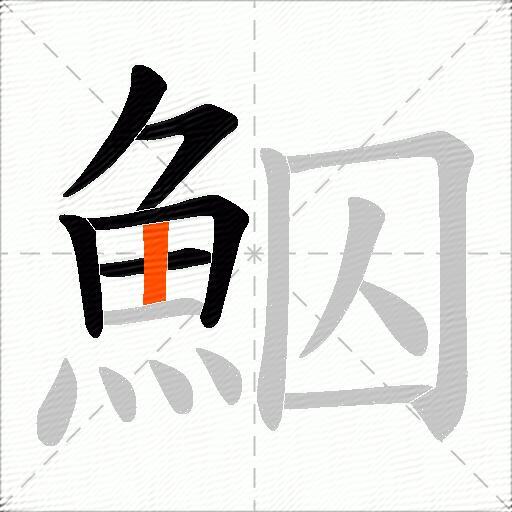 鮂