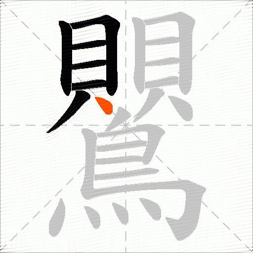 鸎