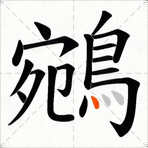 鵷