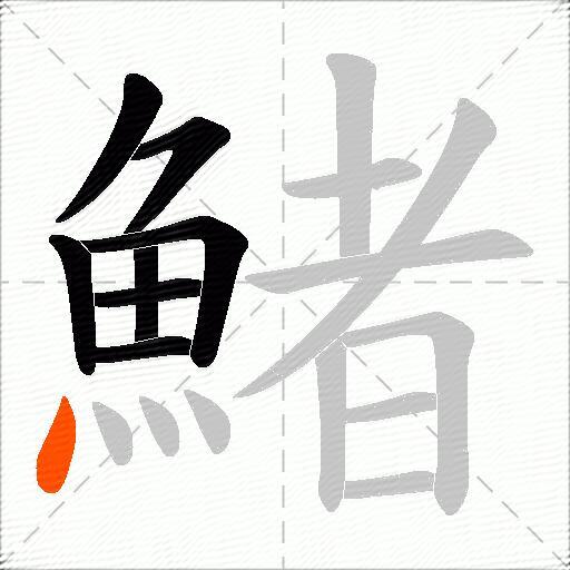 鯺
