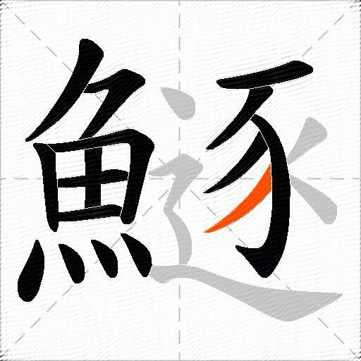 鱁